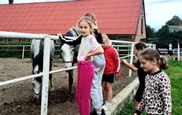 527774122_1162475139237295_4188219009483186891_n