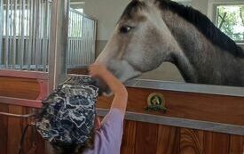 369707099_683396083811872_2018259025690991230_n