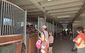 369704755_683395907145223_3379593264986050942_n