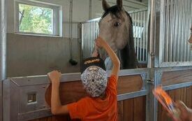 369704598_683396043811876_4079610002624228463_n