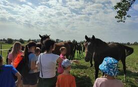 369704237_683396607145153_8862051591523386904_n