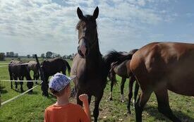 369691378_683396707145143_4753629510908517567_n