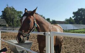 369689287_683395327145281_5006920437243221448_n