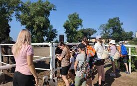 369534135_683394833811997_2061495277154139996_n