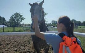 369532576_683395160478631_3186562476348279822_n