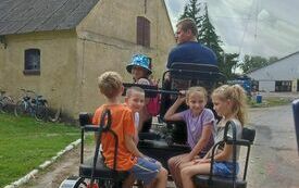 369528967_683397737145040_1059166291540888277_n