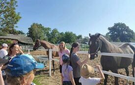 369452143_683394927145321_2288690194032717451_n