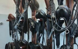 369783633_683396200478527_7615550628704507233_n