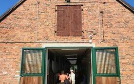 369721131_683395747145239_6121576096419977247_n