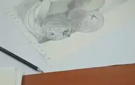 495104164_1096251309193012_2091197157671308030_n