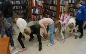 495381036_1099758768842266_6821782644020096885_n