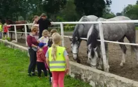 527608892_1162484079236401_5677794630797088263_n