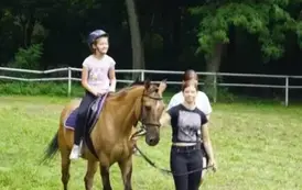 527147427_1162482419236567_699472204116490193_n