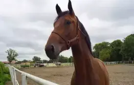 526522112_1162483712569771_4204950013938373685_n