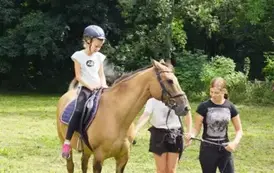 517600163_1162482442569898_4228934409424668758_n