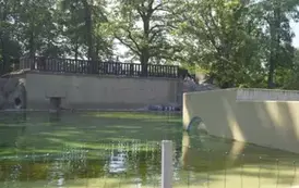 536279460_1176613661156776_7421050442983235185_n