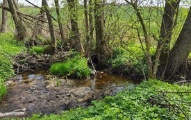 O tym co w trawie piszczy - lekcja przyrody w Radziczu 1