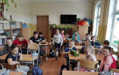 Zdjęcie do Akcja Żonkile w Anielinach