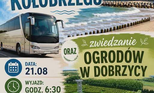Zdjęcie do Ruszaj na wyprawę z Gminną Biblioteką Publiczną w Sadkach!