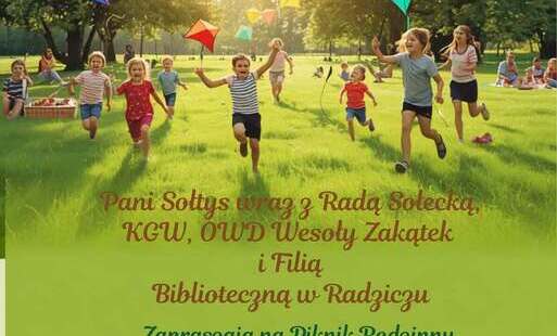 Zdjęcie do Piknik Rodzinny w Radziczu